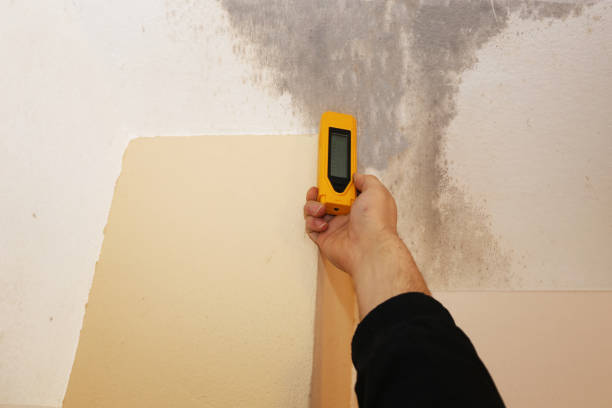  Milan, OH Mold Removal Pros
