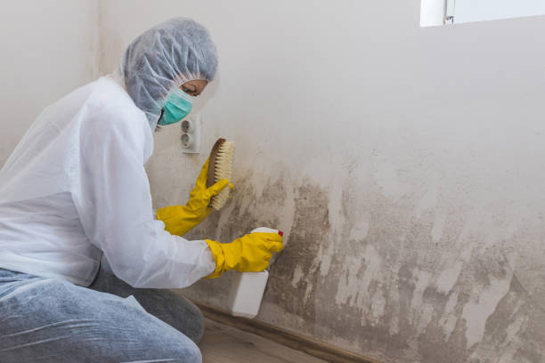 Best Residential Mold Inspection & Testing  in Milan, OH