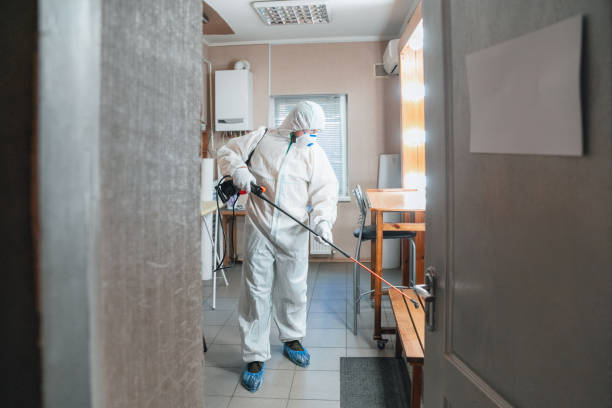 Best Dehumidification Services  in Milan, OH