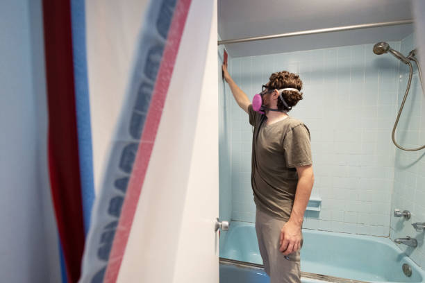 Environmental Consulting for Mold Prevention in Milan, OH