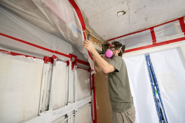 Best Environmental Consulting for Mold Prevention  in Milan, OH