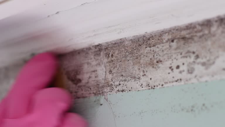 Best Real Estate Mold Inspection  in Milan, OH